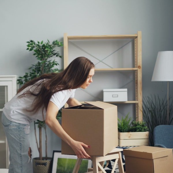 Move in and move out cleaning