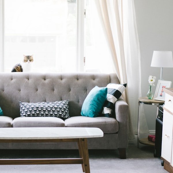 Furniture cleaning